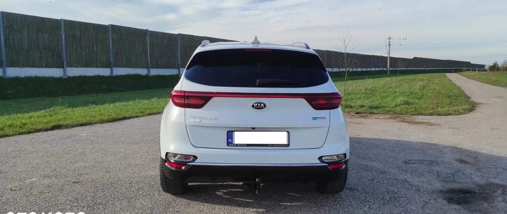 Kia Sportage cena 78000 przebieg: 168000, rok produkcji 2019 z Kielce małe 121
